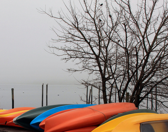 Kayaks in the Fog